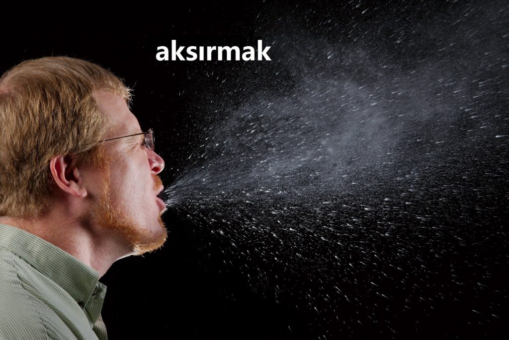 Aksırmak Nedir