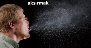 Aksırmak Nedir