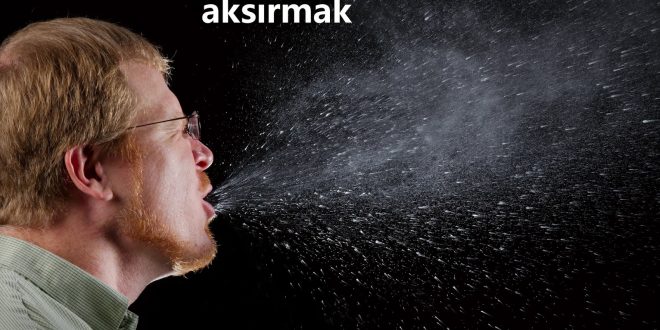 Aksırmak Nedir