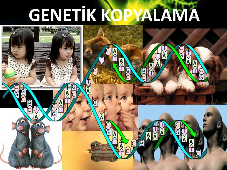 Genetik Kopyalama Nedir