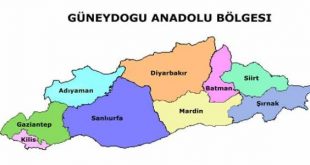 Güneydoğu Anadolu Bölgesi