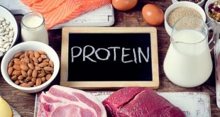 Protein Nedir