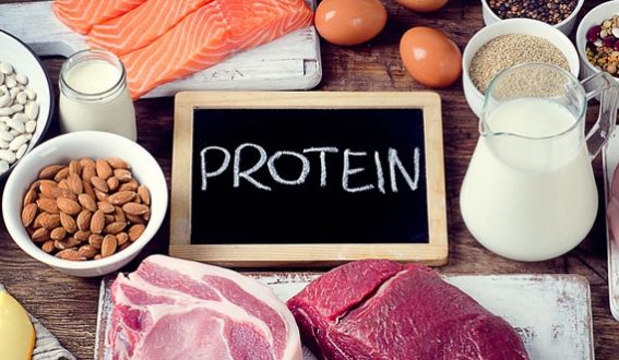 Protein Nedir