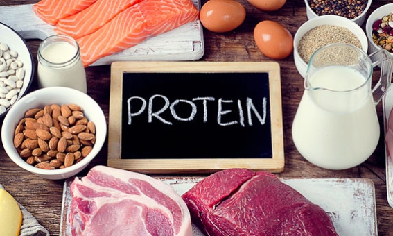 Protein Nedir