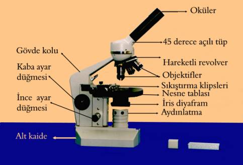 X-Ray Mikroskobu Nedir