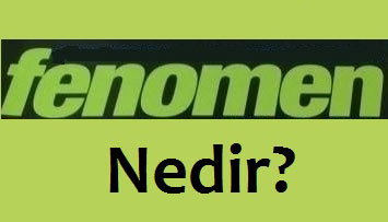 Fenomen Nedir