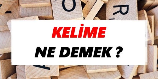 Kelime Nedir