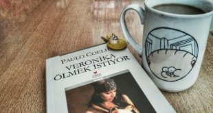 Paulo Coelho Veronika Ölmek istiyor Kitabının Özeti
