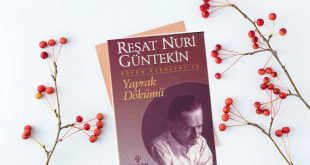 Reşat Nuri Güntekin Yaprak Dökümü Kitabının Özeti