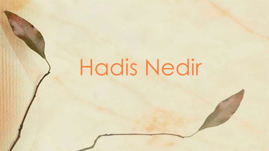 Hadis Nedir