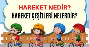 Hareket Nedir