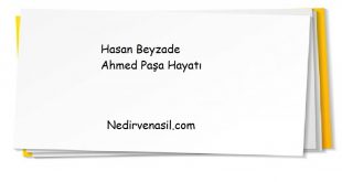 Hasan Beyzade Ahmed Paşa Hayatı