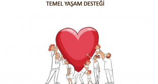 Temel Yaşam Desteği Nedir