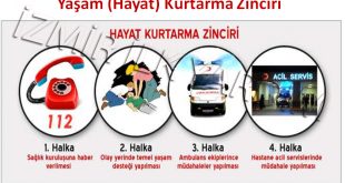 Yaşam Zinciri Nedir