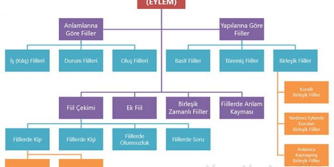 Fiil Nedir