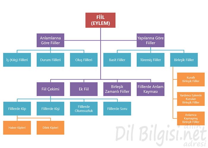 Fiil Nedir