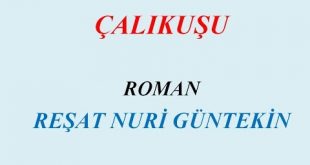 Çalıkuşu Kitabı Özeti