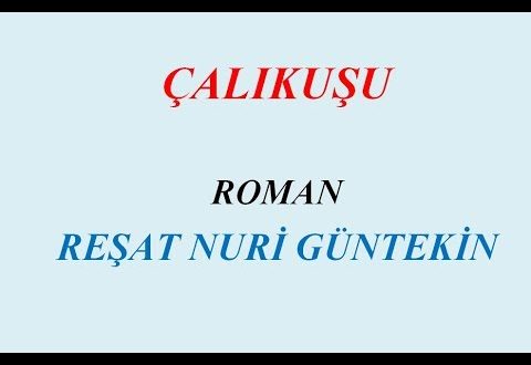 Çalıkuşu Kitabı Özeti