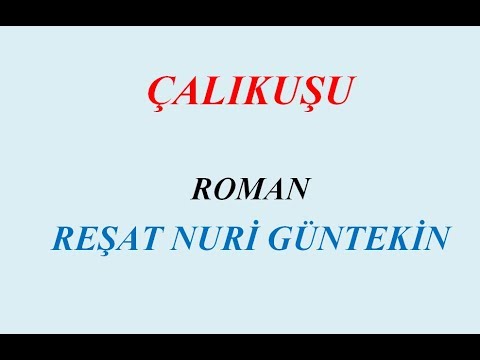 Çalıkuşu Kitabı Özeti