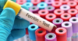 Ferritin Nedir