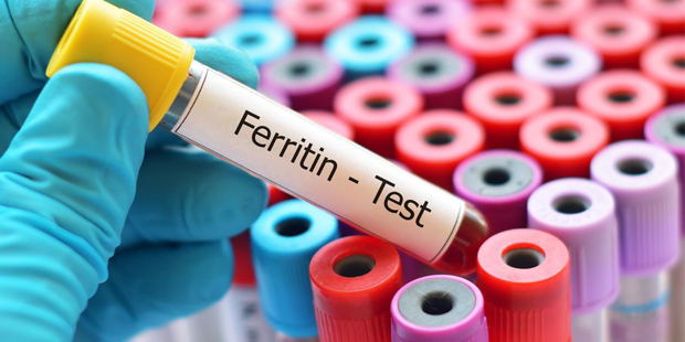 Ferritin Nedir