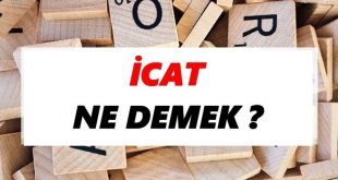 icat Nedir