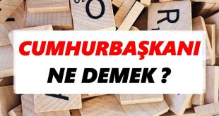 Cumhurbaşkanı Nedir