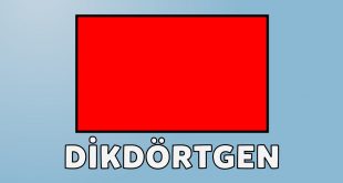 Dikdörtgen Nedir