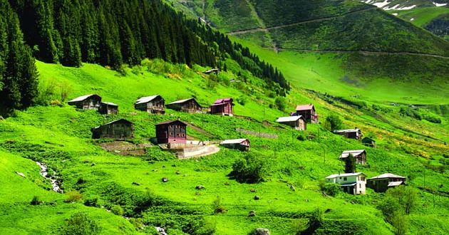 Karadeniz Bölgesinde Hangi Ürünler Yetişir