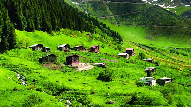 Karadeniz Bölgesinde Hangi Ürünler Yetişir