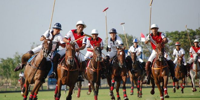 Polo Sporu Nedir