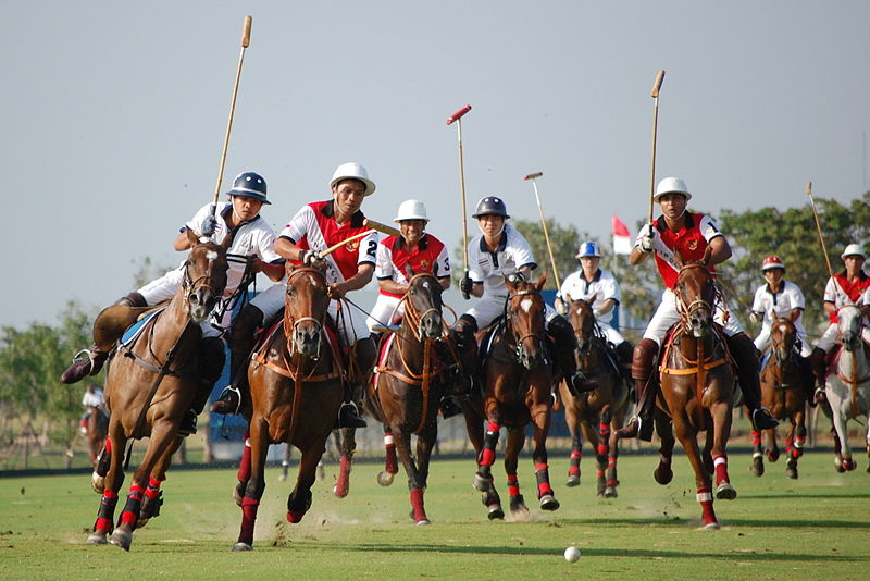 Polo Sporu Nedir