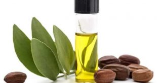 Jojoba Yağı Nedir