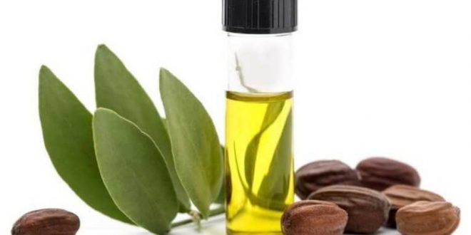 Jojoba Yağı Nedir