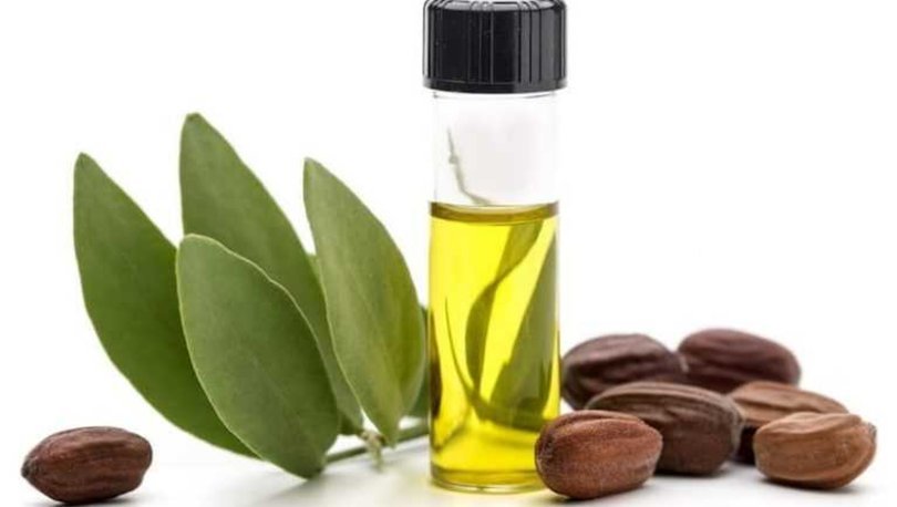 Jojoba Yağı Nedir