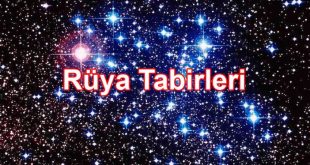 Rüyada Burç Görmek