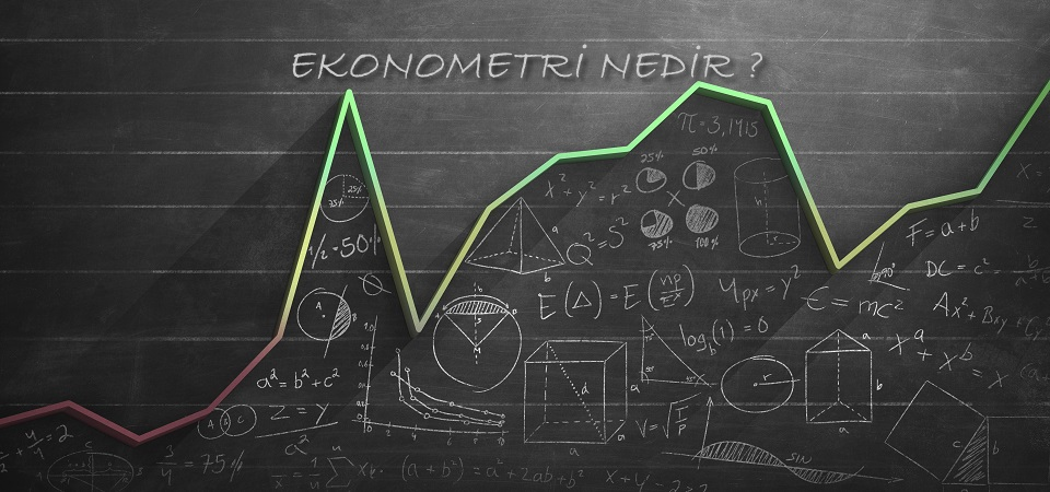 Ekonometri Nedir