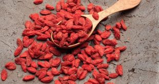 Goji Berry Faydaları