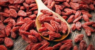 Goji Berry Faydaları Nelerdir