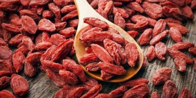 Goji Berry Faydaları Nelerdir