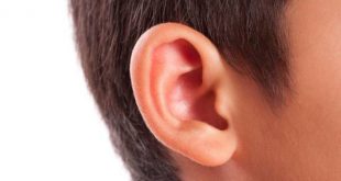 Kulak iltihabı Nedir