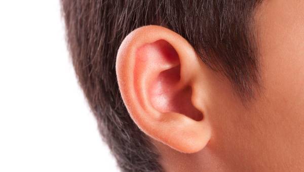 Kulak iltihabı Nedir