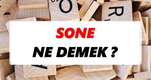 Sone Nedir