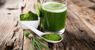 Spirulina Nedir