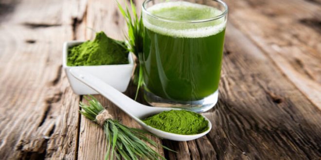 Spirulina Nedir