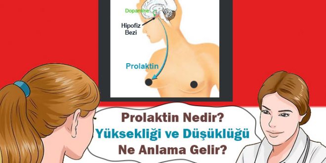 Prolaktin Yüksekliği Nedenleri