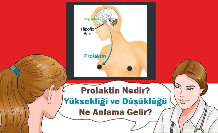 Prolaktin Yüksekliği Nedenleri